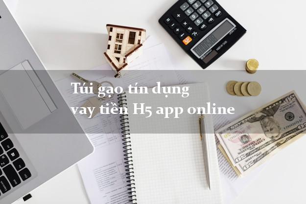 Túi gạo tín dụng vay tiền H5 app online